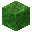 Green Fungus