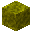 Yellow Fungus