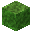 Rapid Green Fungus